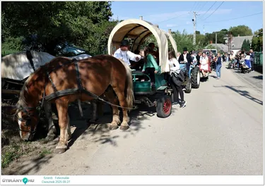 Szüreti Felvonulás és Bál