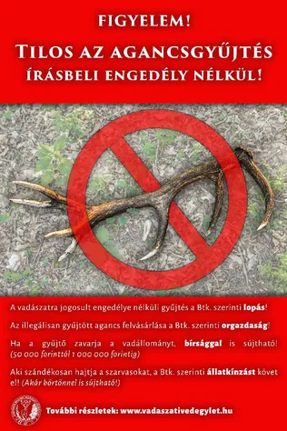 Tilos az agancsgyűjtés engedély nélkül! borítóképe