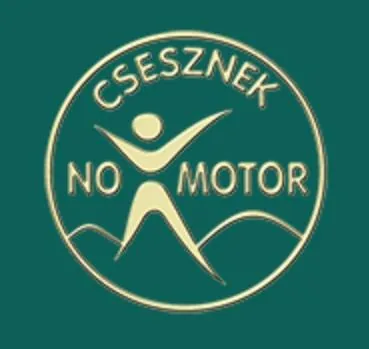 'No Motor' cikk borítóképe