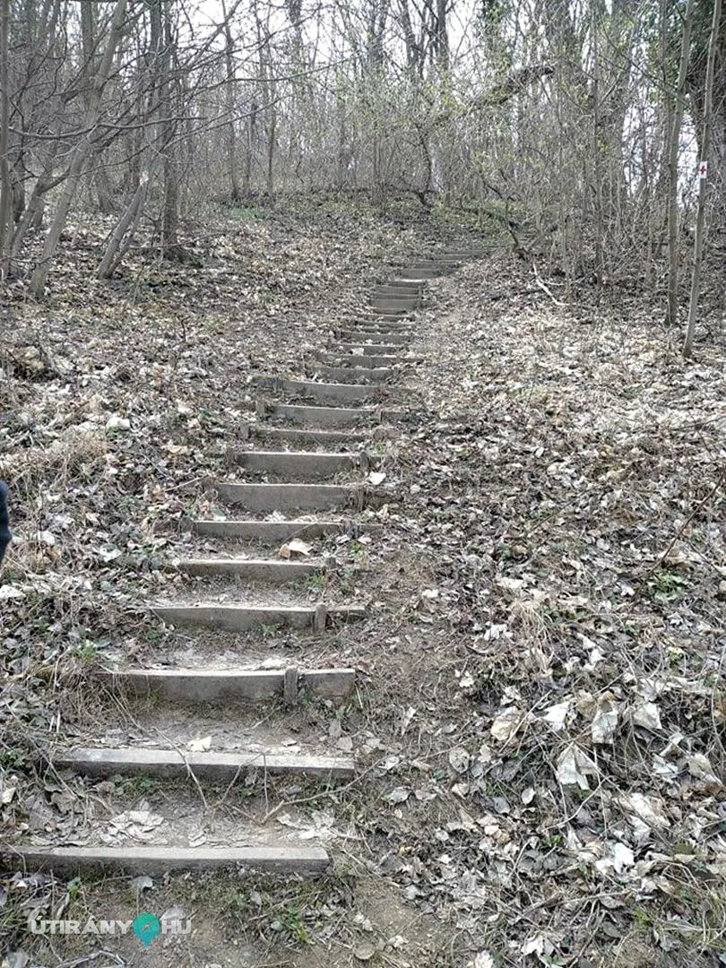 Fotók: 2021 Útirány.hu