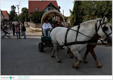 Szüreti Felvonulás és Bál