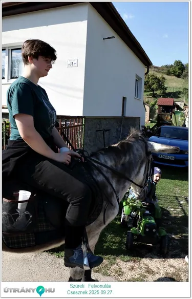 Szüreti Felvonulás és Bál
