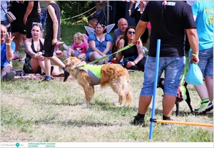 Képek: Útirány.hu