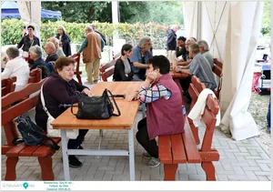 Képek: Útirány Fellépő: Az Ötök