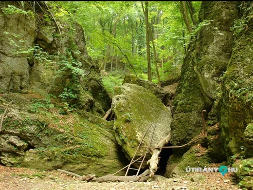 'Bakonyi Ördög-árok' cikk borítóképe