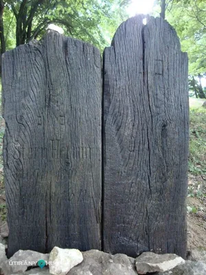 Fotók: 2015 Hegedűs László