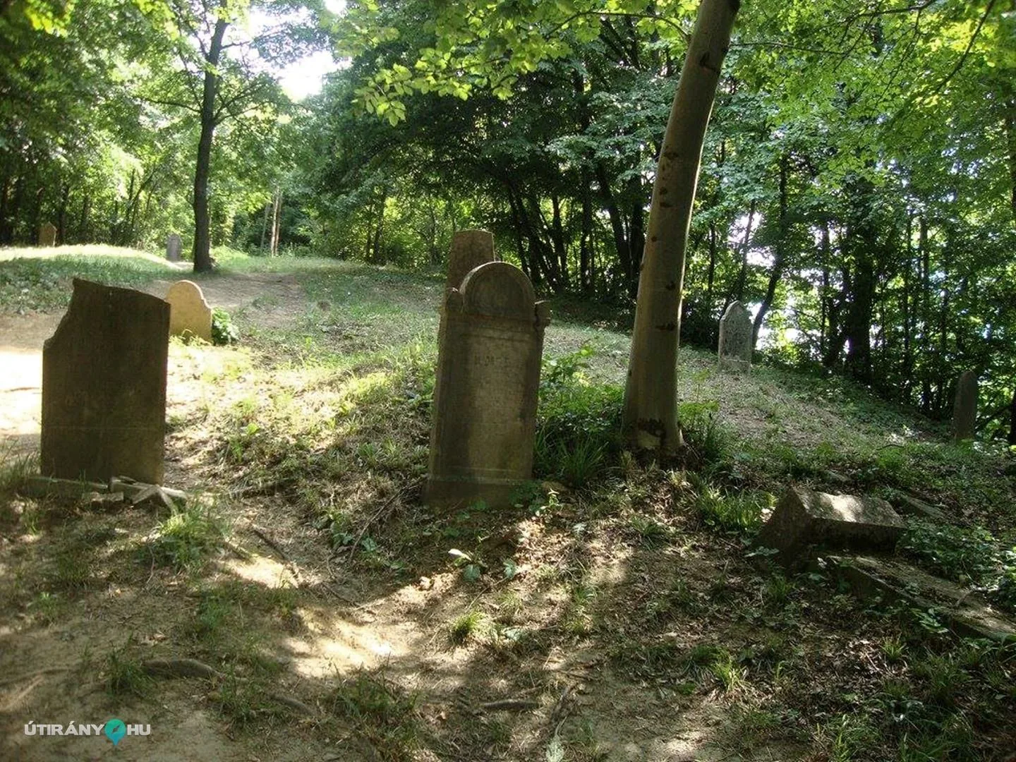 Fotók: 2015 Hegedűs László