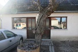 Zöldség, gyümölcs, virág, ajándék borítóképe