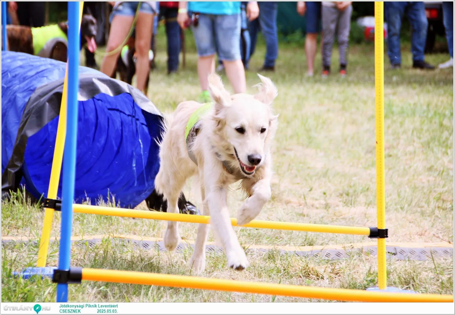 Képek: Útirány.hu