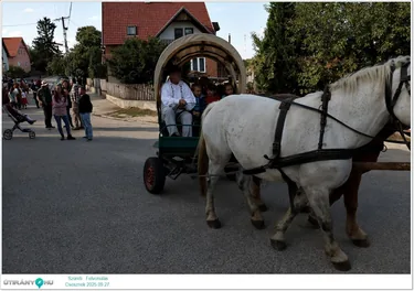 Szüreti Felvonulás és Bál