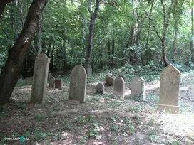 Zsidó temető a múltból borítóképe